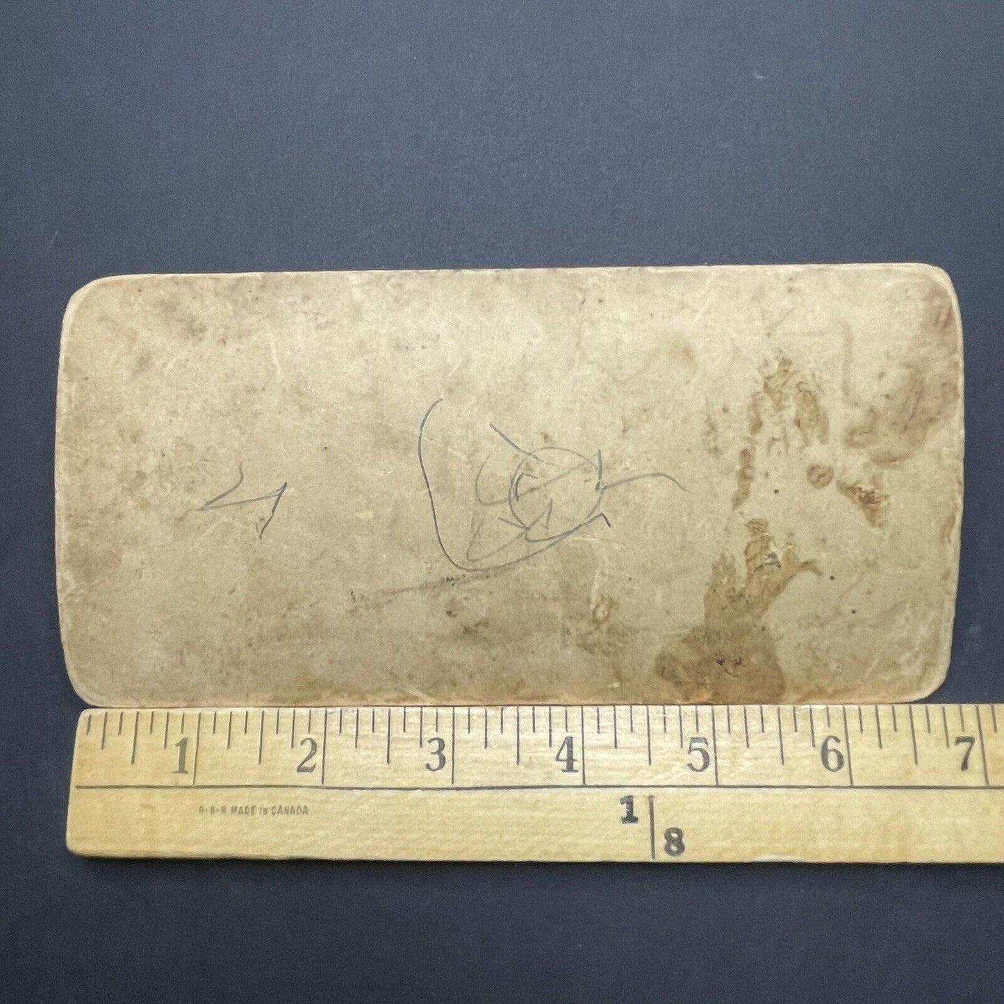 Antique 1902 Fairmount Park Philadelphia PA Stereoview Photo Card P1864