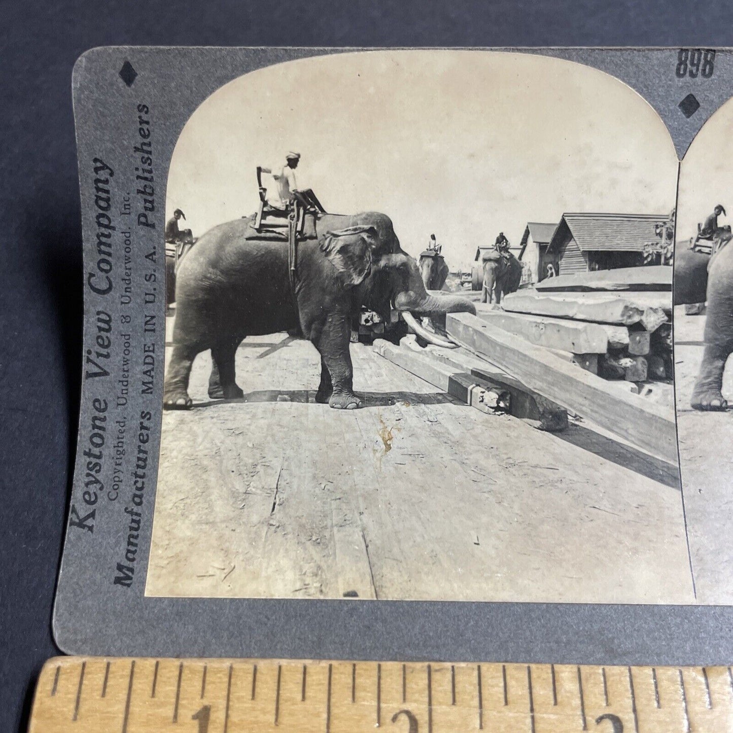 Antique 1910s An Elephant Lifts A Barn Beam Wood Stereoview Photo Card P4907