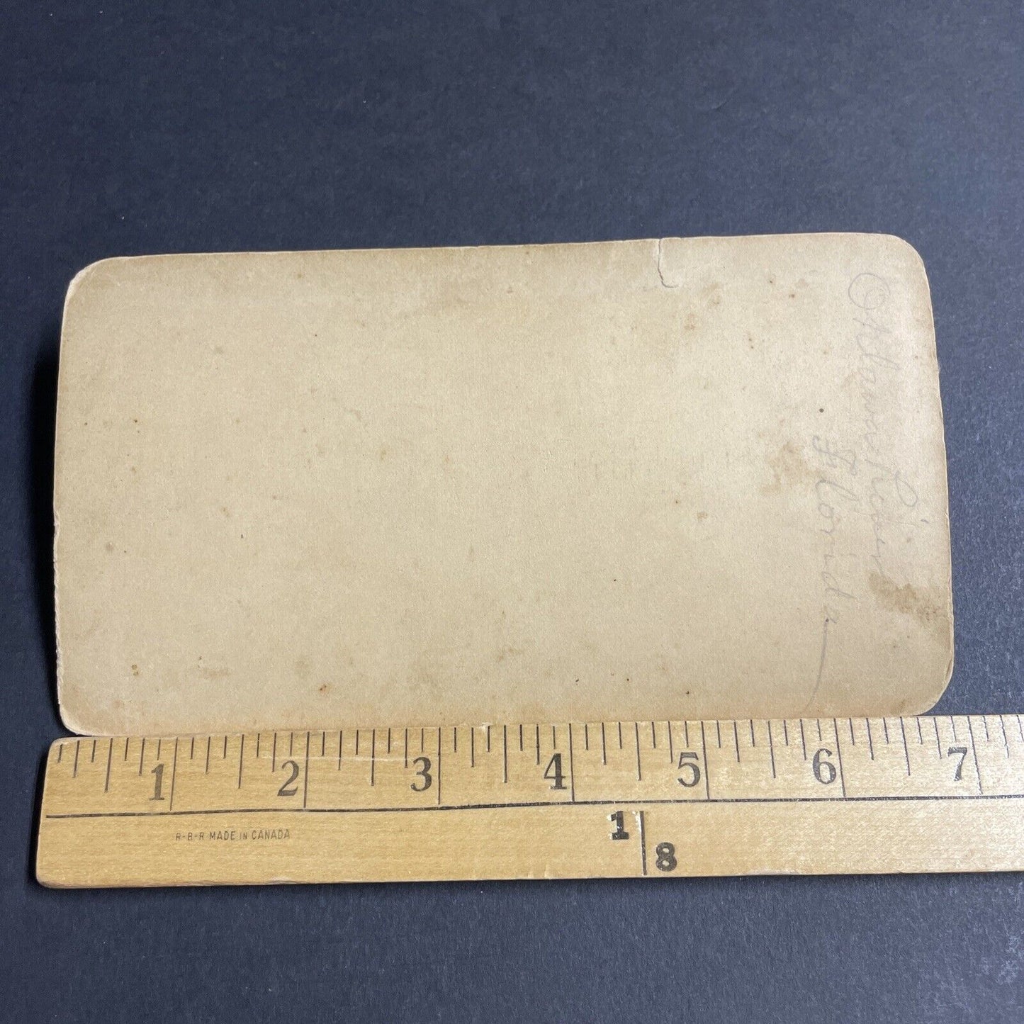 Antique 1870s Ocklawaha River Florida Stereoview Photo Card P4874