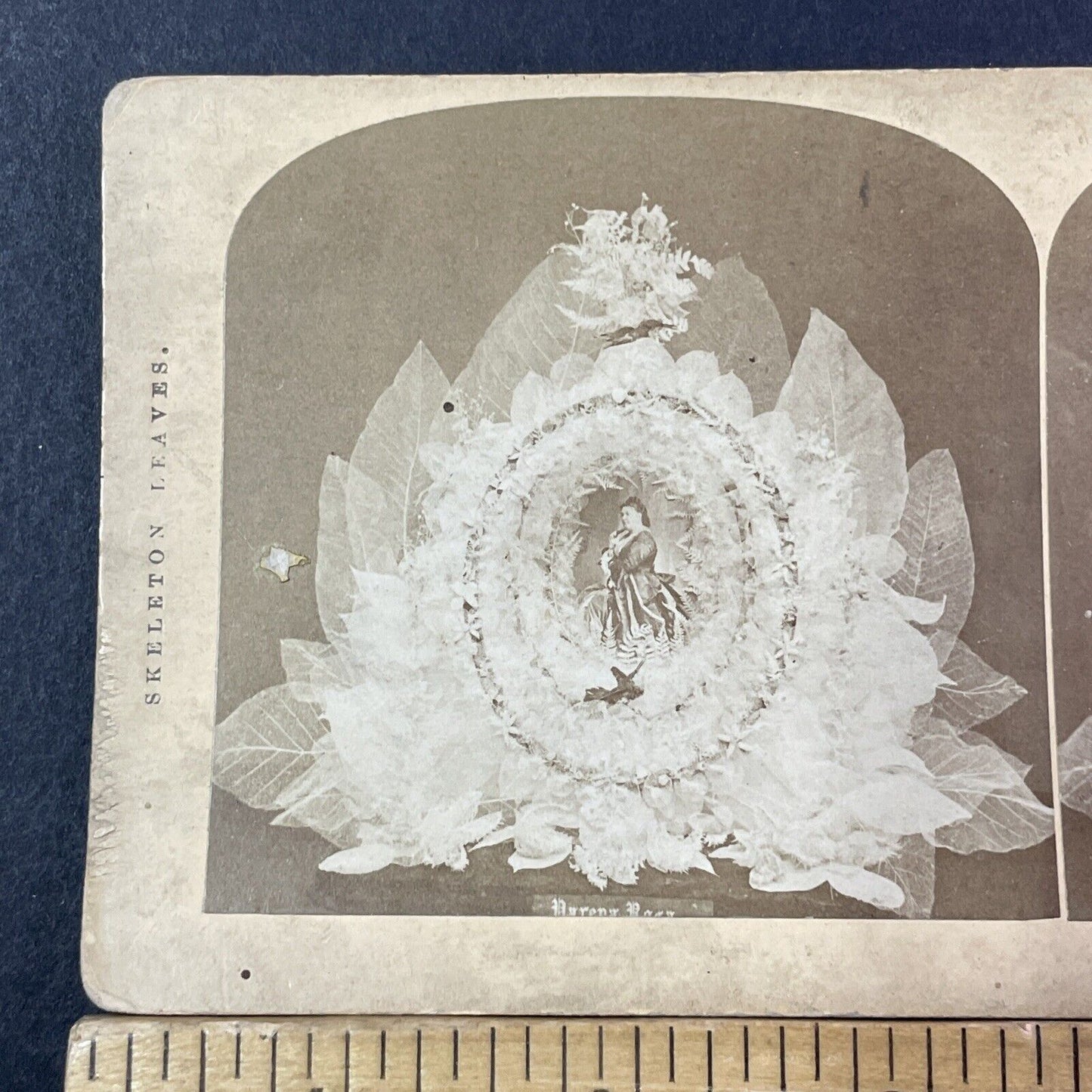 Euphrosyne Parepa-Rosa Funeral Coffin Flowers Stereoview Antique c1874 X2748