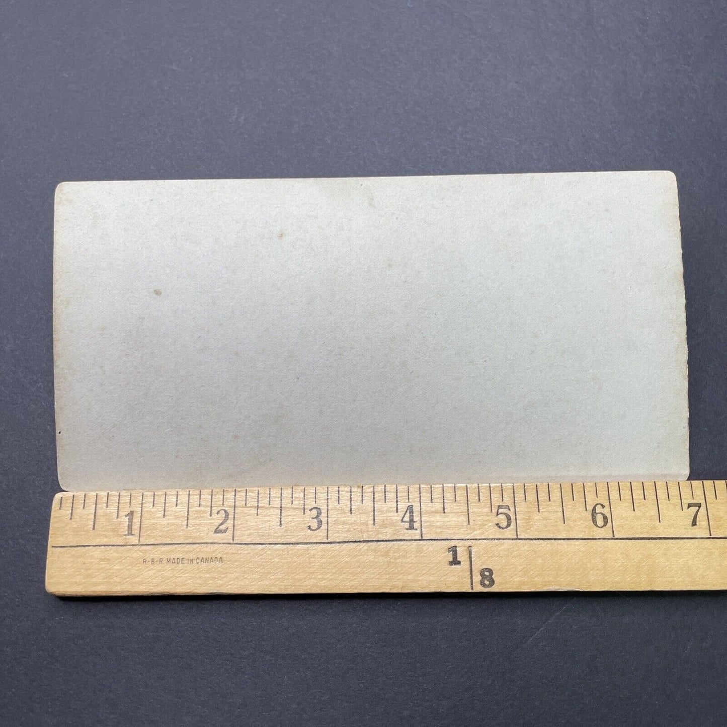 Antique 1880s Baby Orangutan At The London Zoo Stereoview Photo Card P1681