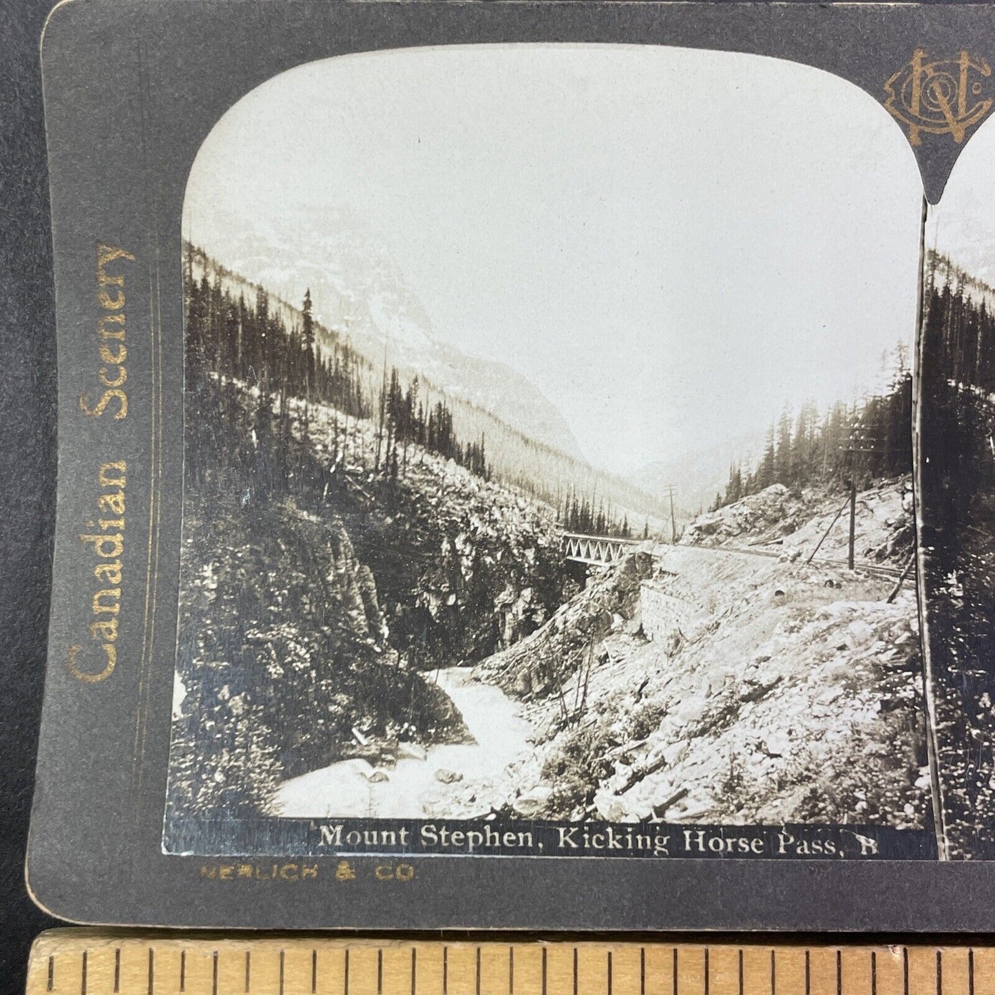 Kicking Horse Pass Train Bridge Alberta Stereoview CPR Rail Views c1905 Y2122