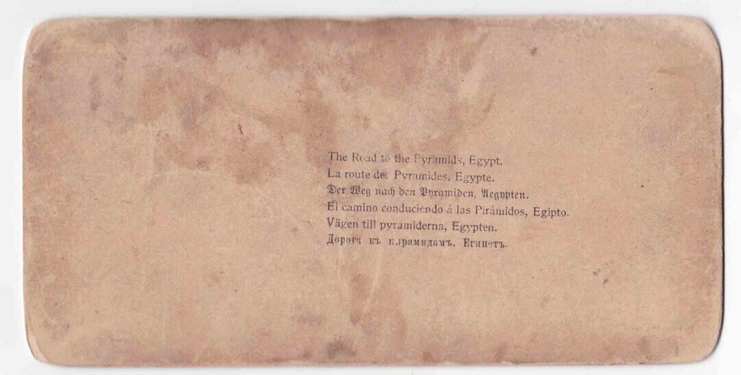 Antique 1901 The Road To The Pyramids In Egypt Camels Resting Photo Card P028