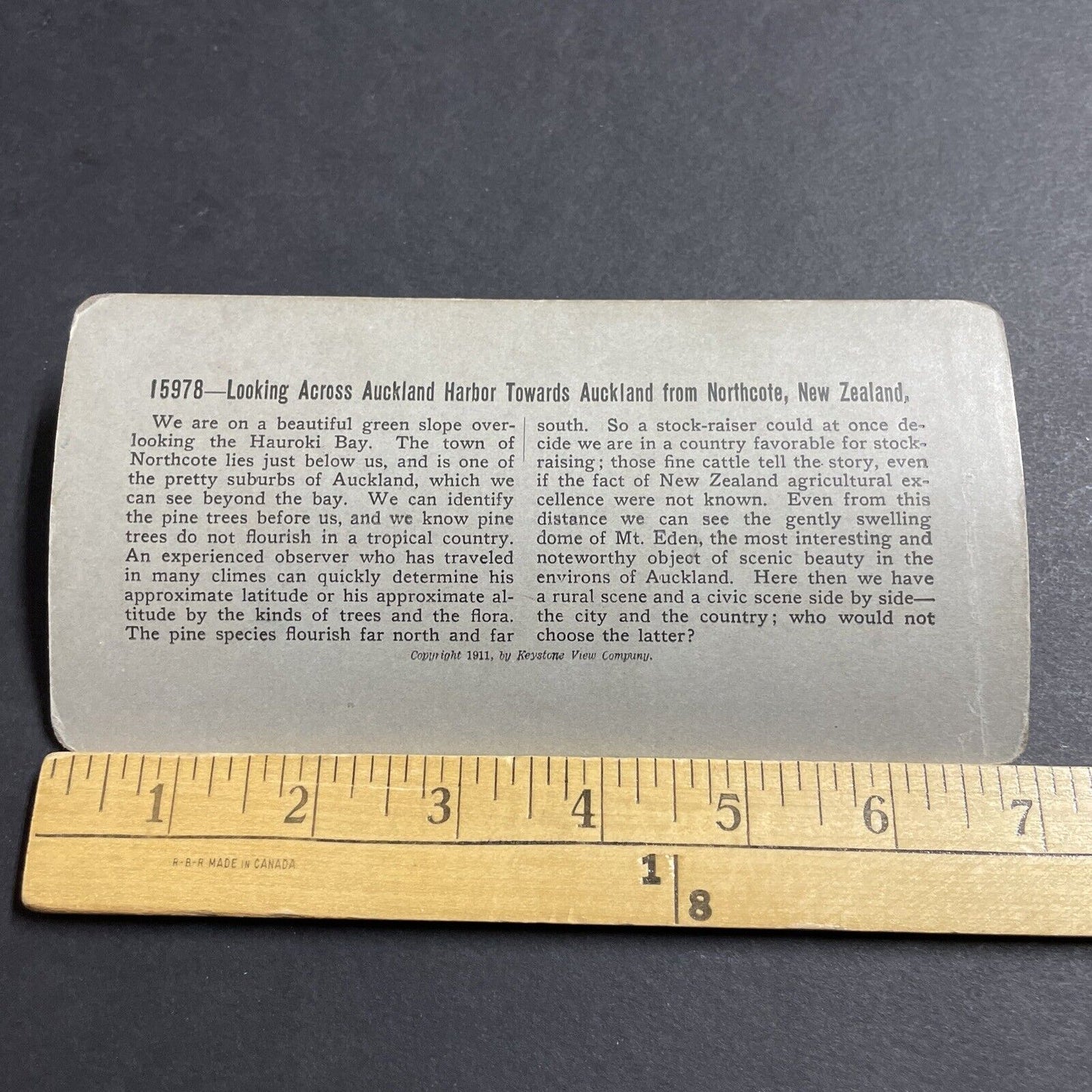 Antique 1911 Northcote Auckland New Zealand Park Stereoview Photo Card P5154