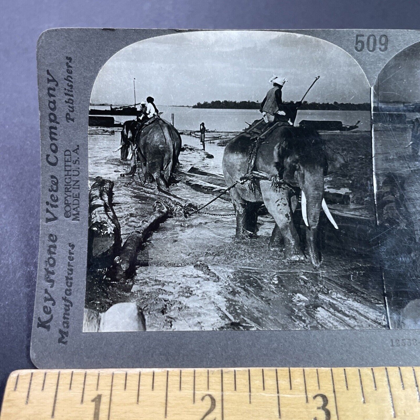 Antique 1910s Elephants Used For Logging In Burma Stereoview Photo Card P3700