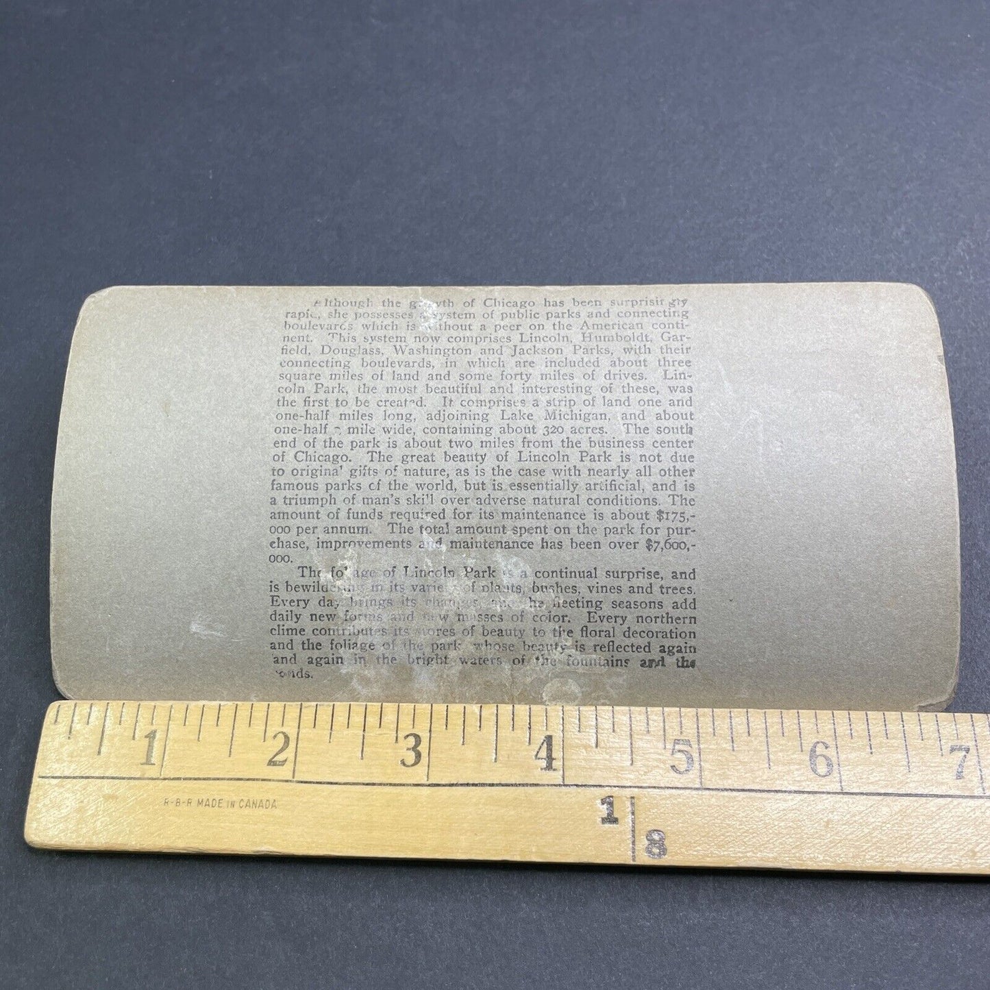 Antique 1909 Lincoln Park Garden Chicago Illinois Stereoview Photo Card P1924