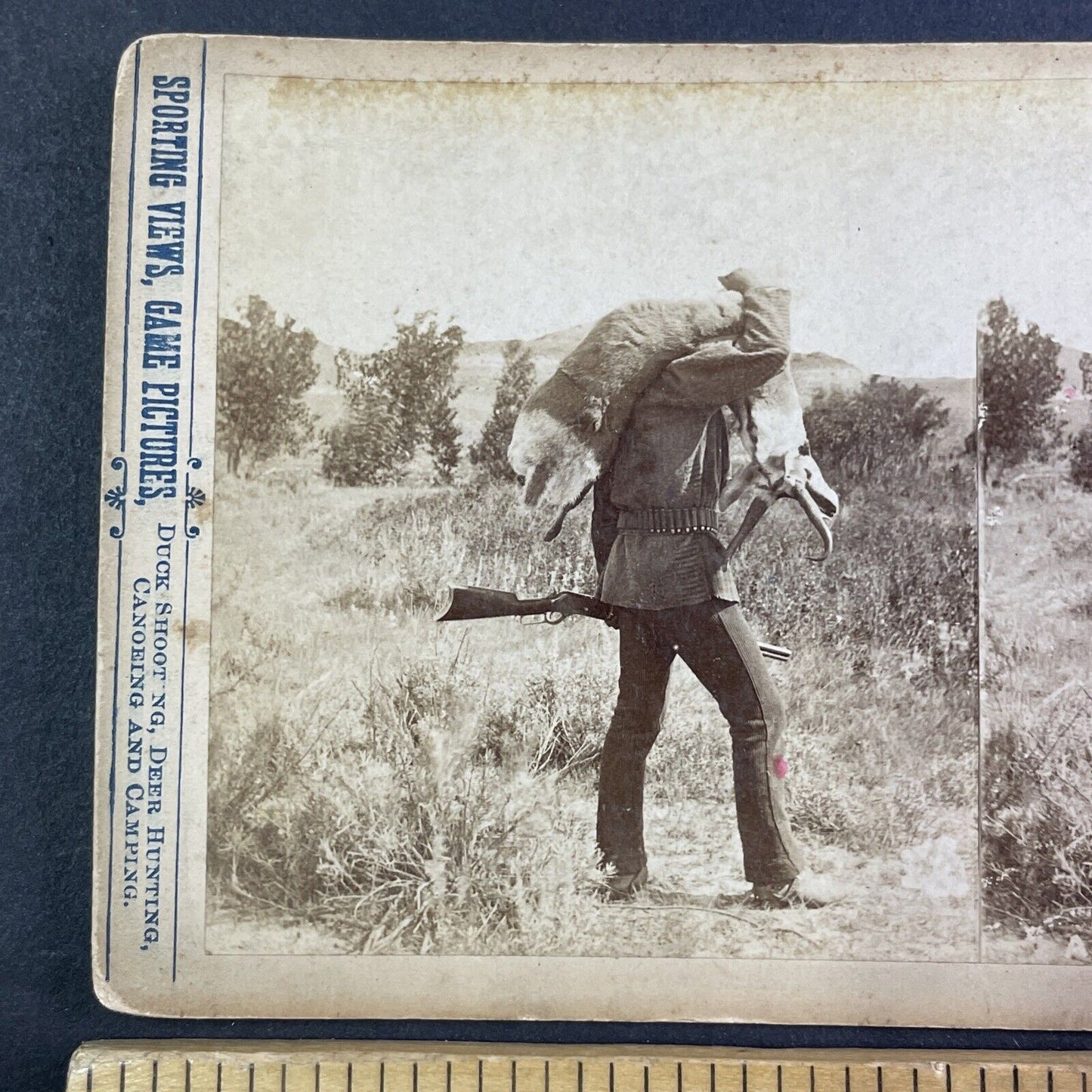 Carrying a Deer After Montana Hunt Stereoview T.W. Ingersoll Antique c1888 Y1334