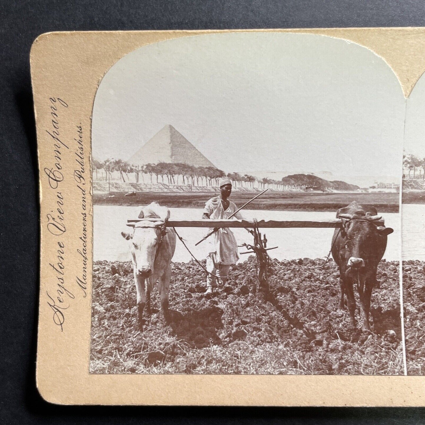 Antique 1899 Farming Along The Nile Egypt Stereoview Photo Card P1475