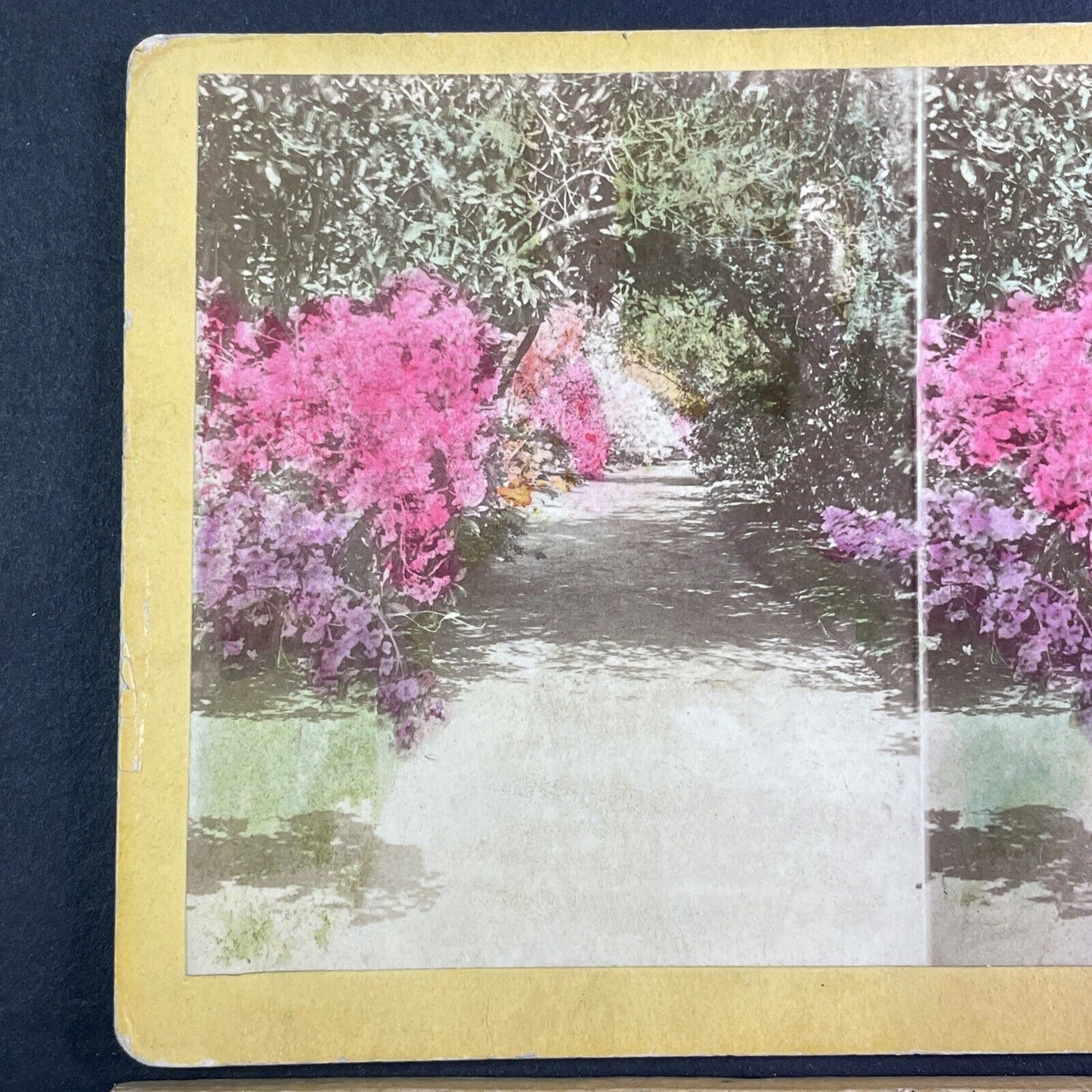 Entrance of John Grimke Drayton Stereoview Charleston South Carolina c1870 Y1327