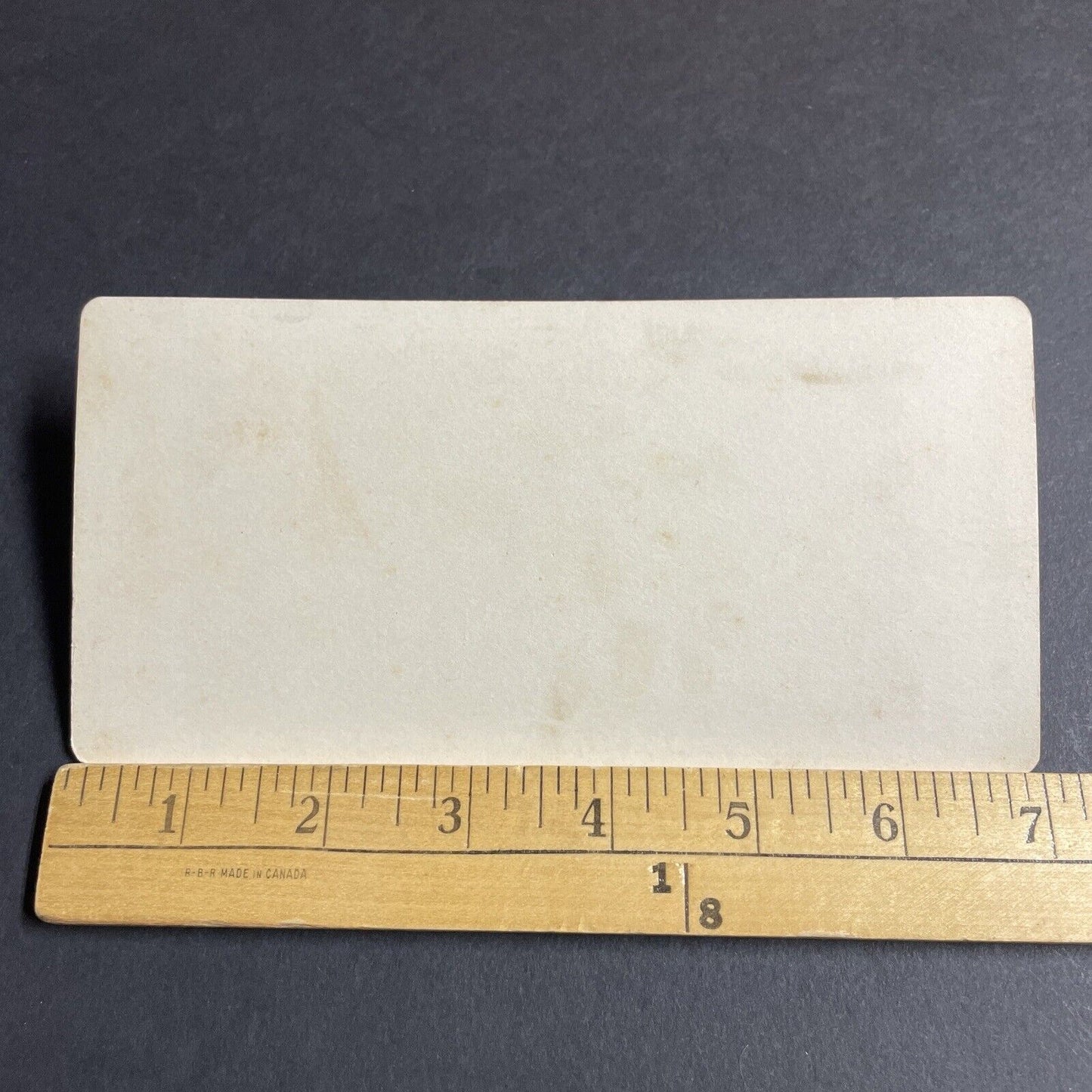 Antique 1870s Lake Brienz Switzerland Swiss Stereoview Photo Card P4226