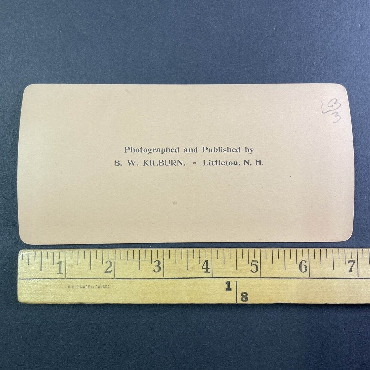 Nile River Flooding in Cairo Egypt Stereoview James M. Davis Antique c1898 Y955