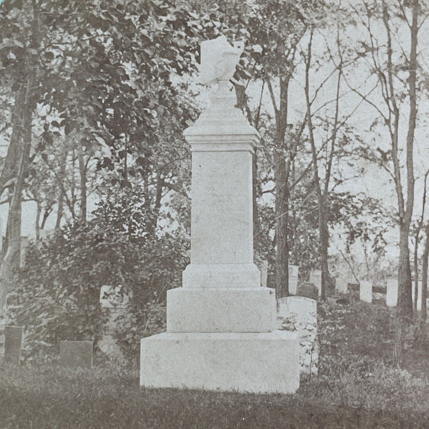 Draped Urn Victorian Cemetery Overgrown Grave Stereoview Antique c1865 X1805
