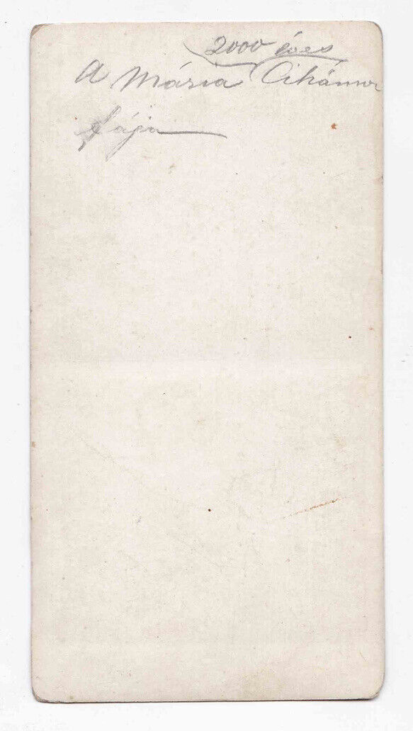 RARE! Antique 1860s Arbre De La Vierge, Pres Du Caire, Egypt Stereo Card P209