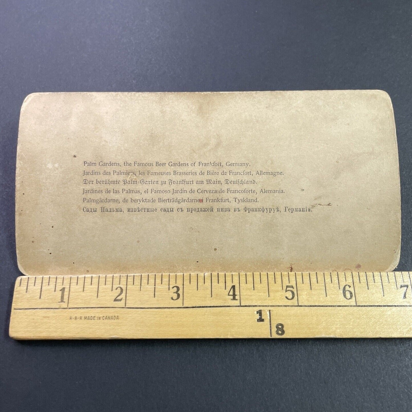 Antique 1894 The Beer Gardens Frankfurt Germany Stereoview Photo Card P3869