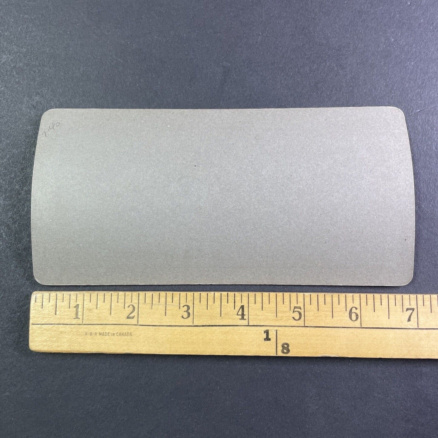 Champion Shorthorn Cow Toronto Exhibition Stereoview Mina Princess c1909 Y2742