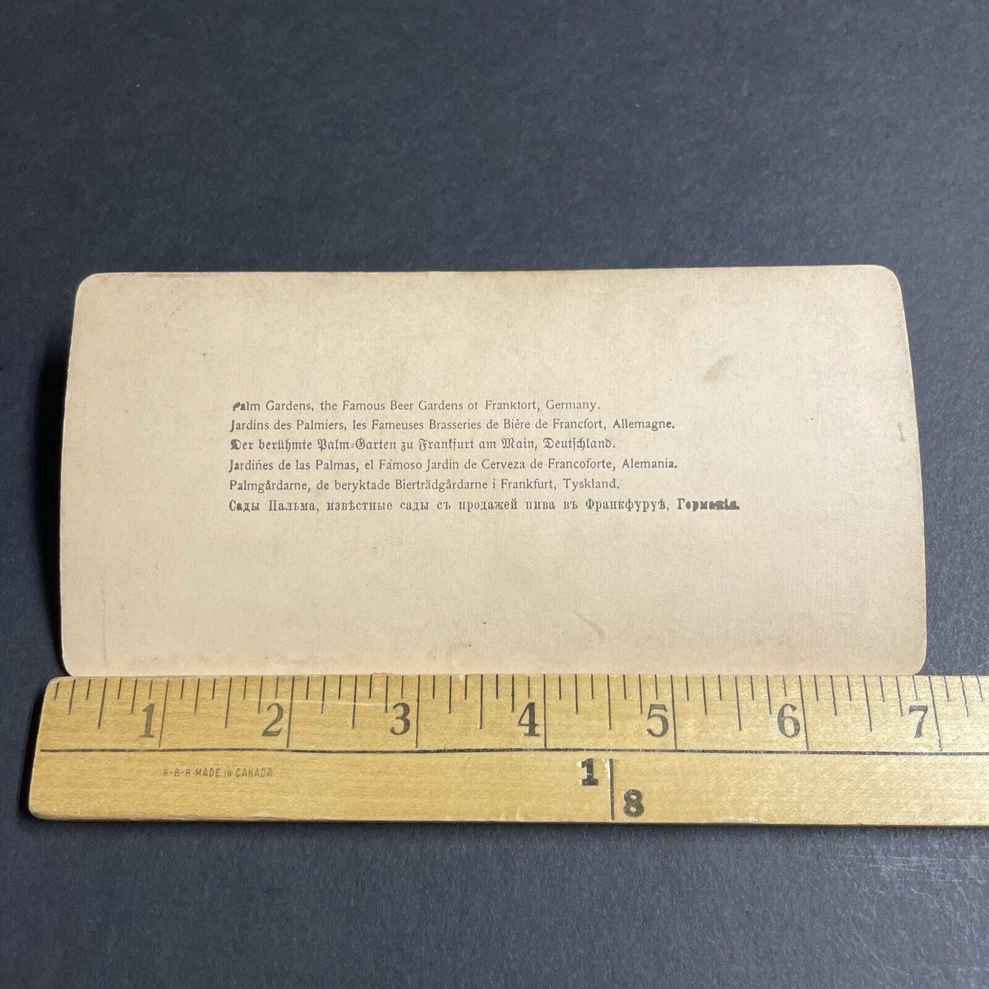Antique 1894 Palm Beer Gardens Frankfurt Germany Stereoview Photo Card P4577