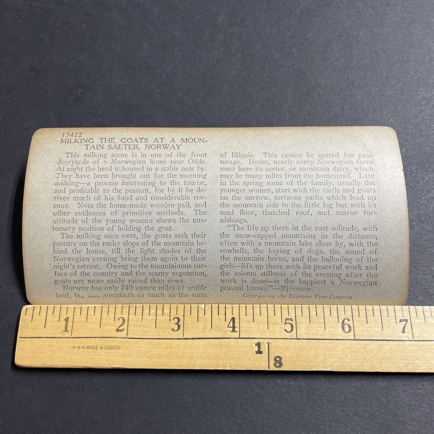 Antique 1910s Norwegian Woman Milking A Goat Stereoview Photo Card P5153