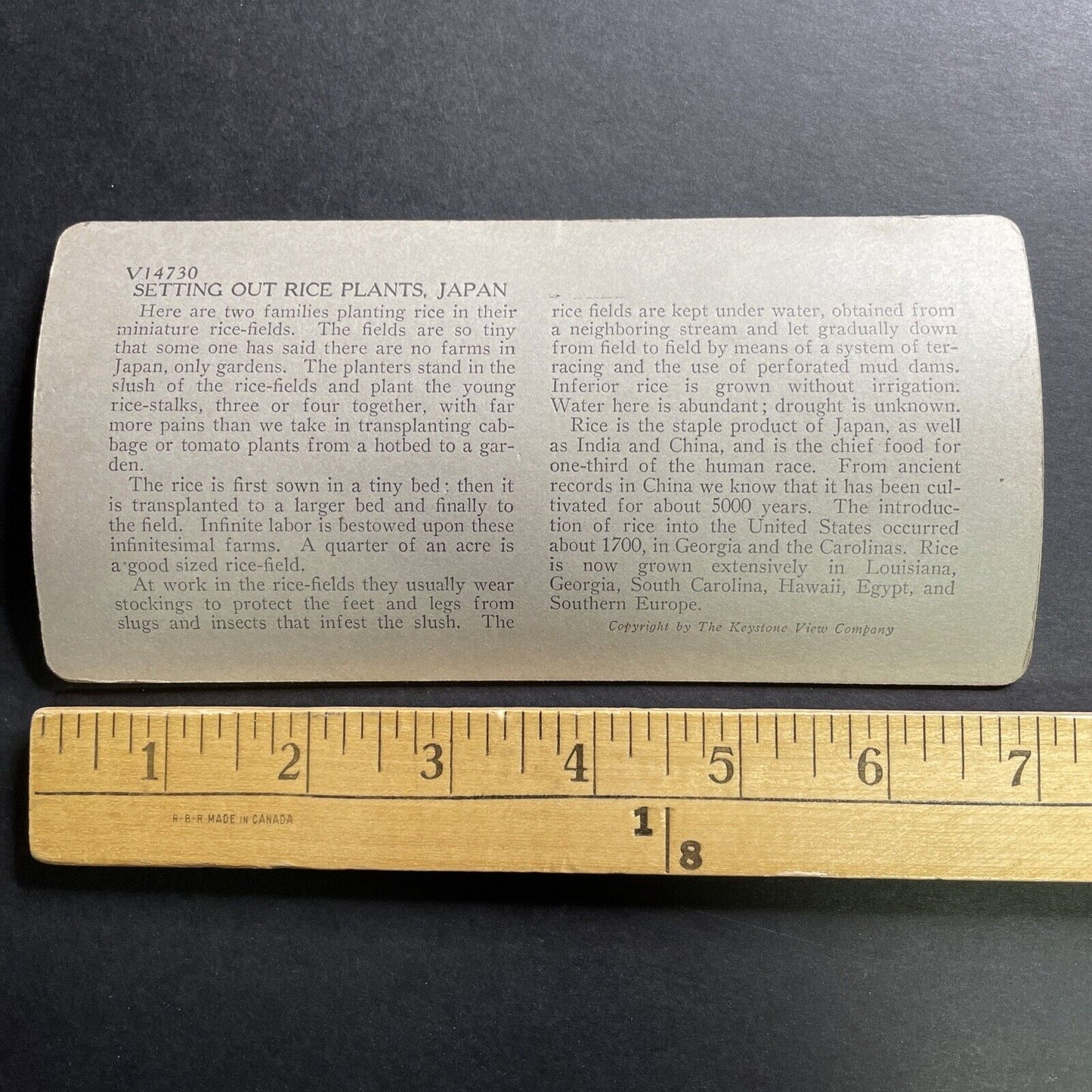 Antique 1918 Planting Rice Farm Farming In Japan Stereoview Photo Card P1483