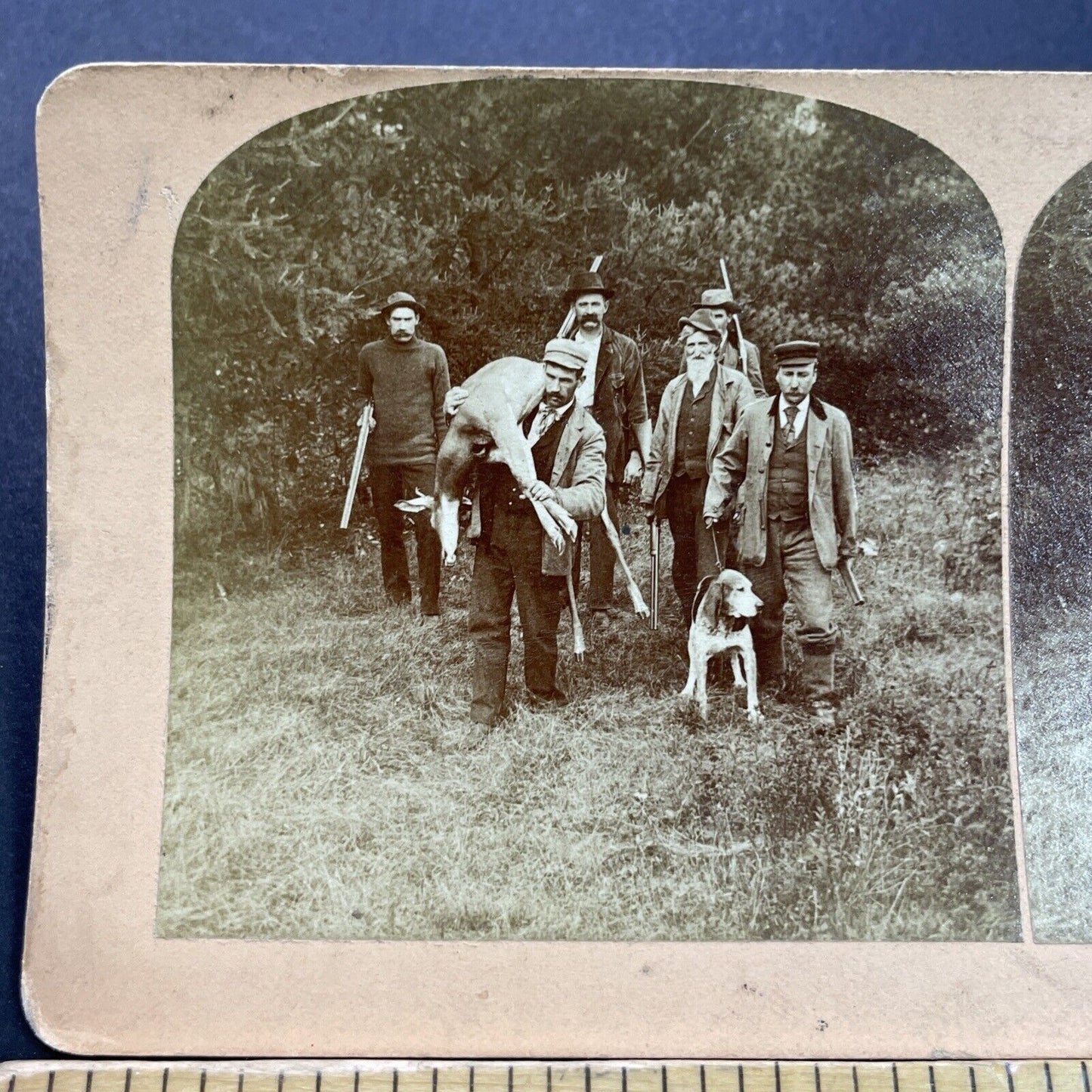 Antique 1894 Hunter Carries Deer Over His Shoulder Stereoview Photo Card P3512