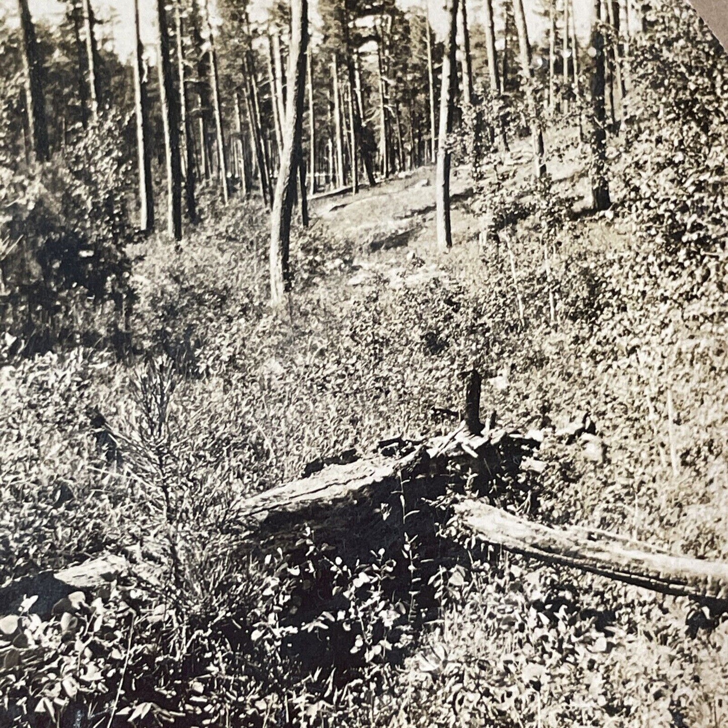 Copper Mountain Colorado Mining Site Mine Stereoview Antique c1870s X3753