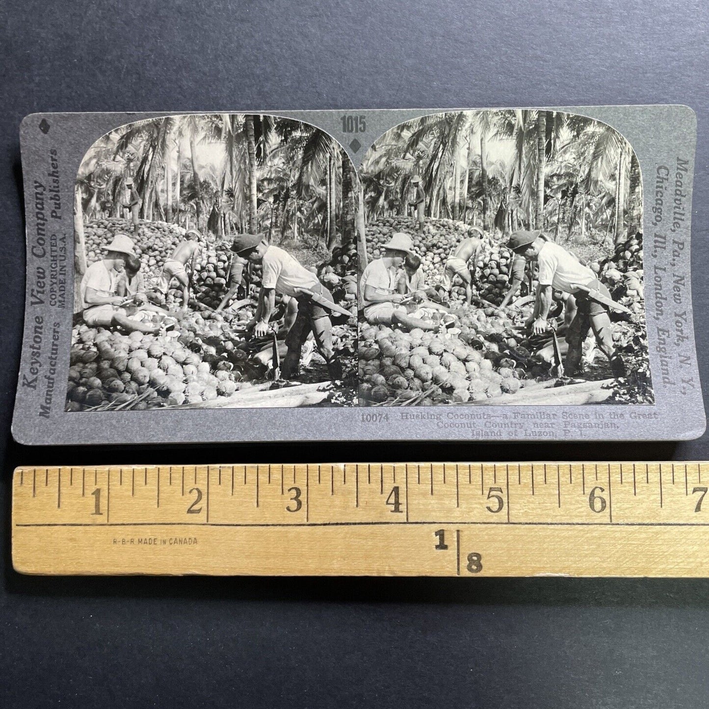 Antique 1906 Coconut Farming Pagsanjan Philippines Stereoview Photo Card P1468