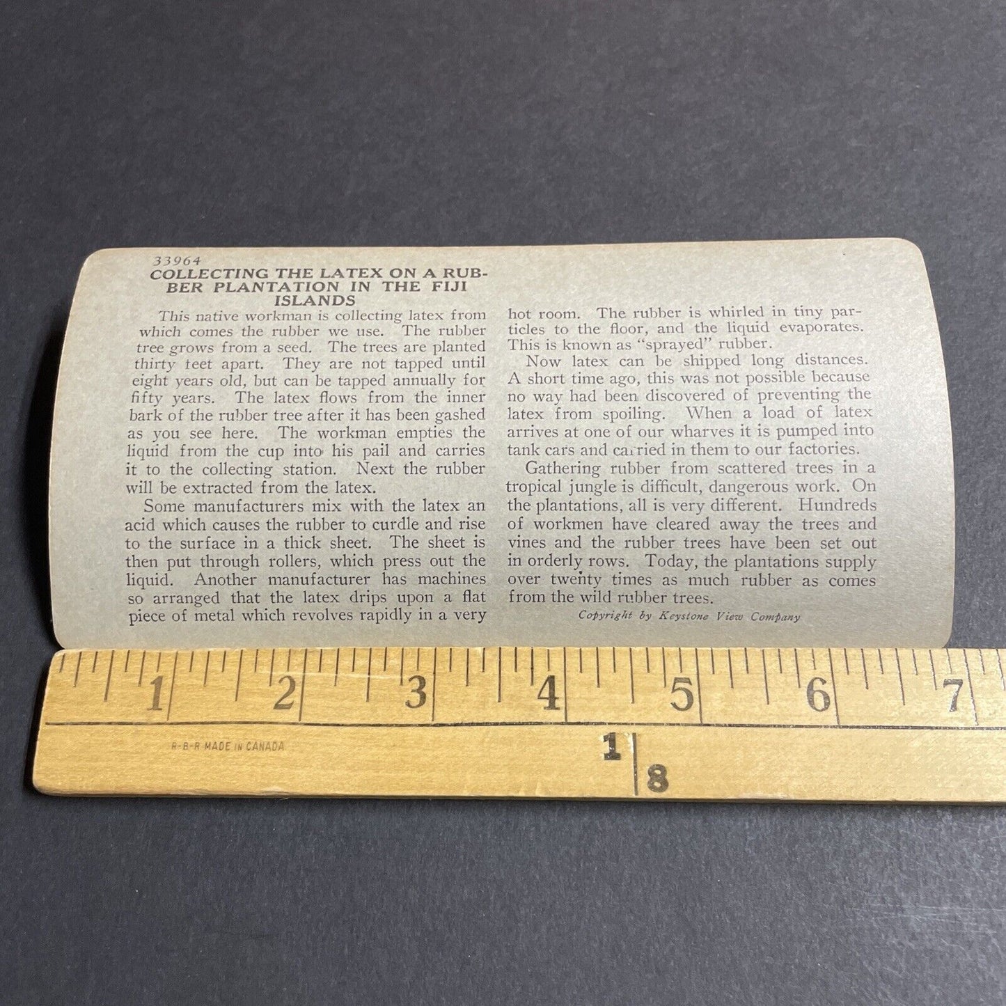 Antique 1910s Laborer From India Cutting Rubber Tree Stereoview Photo Card P4476