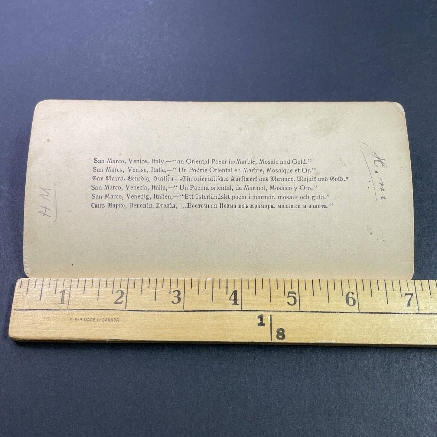 Antique 1898 Woman Holding Pigeons Venice Italy Stereoview Photo Card P3780