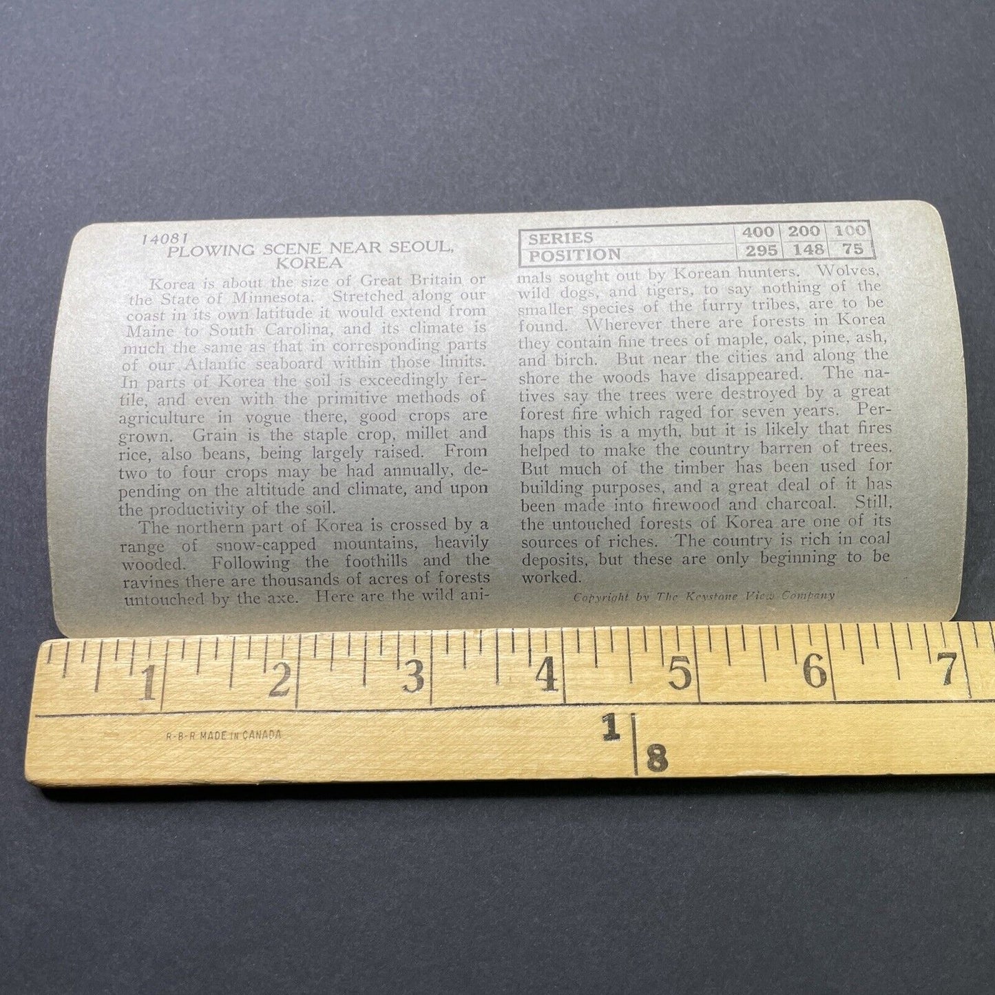 Antique 1910s Bull Plowing A Field South Korea Stereoview Photo Card P2750