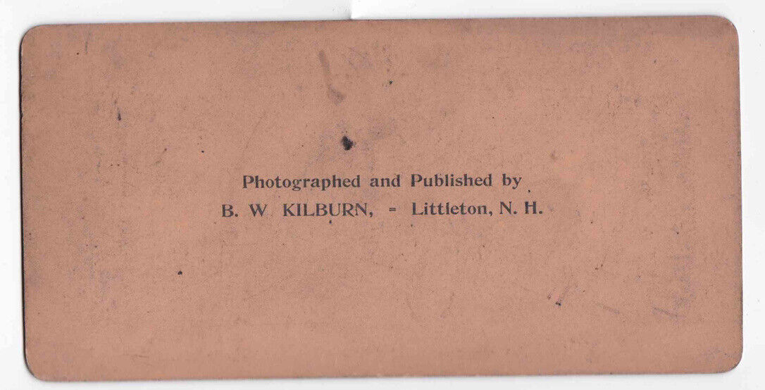 Antique 1884 Sanssouci Palace Sans Souci Potsdam Germany Stereo Card P250