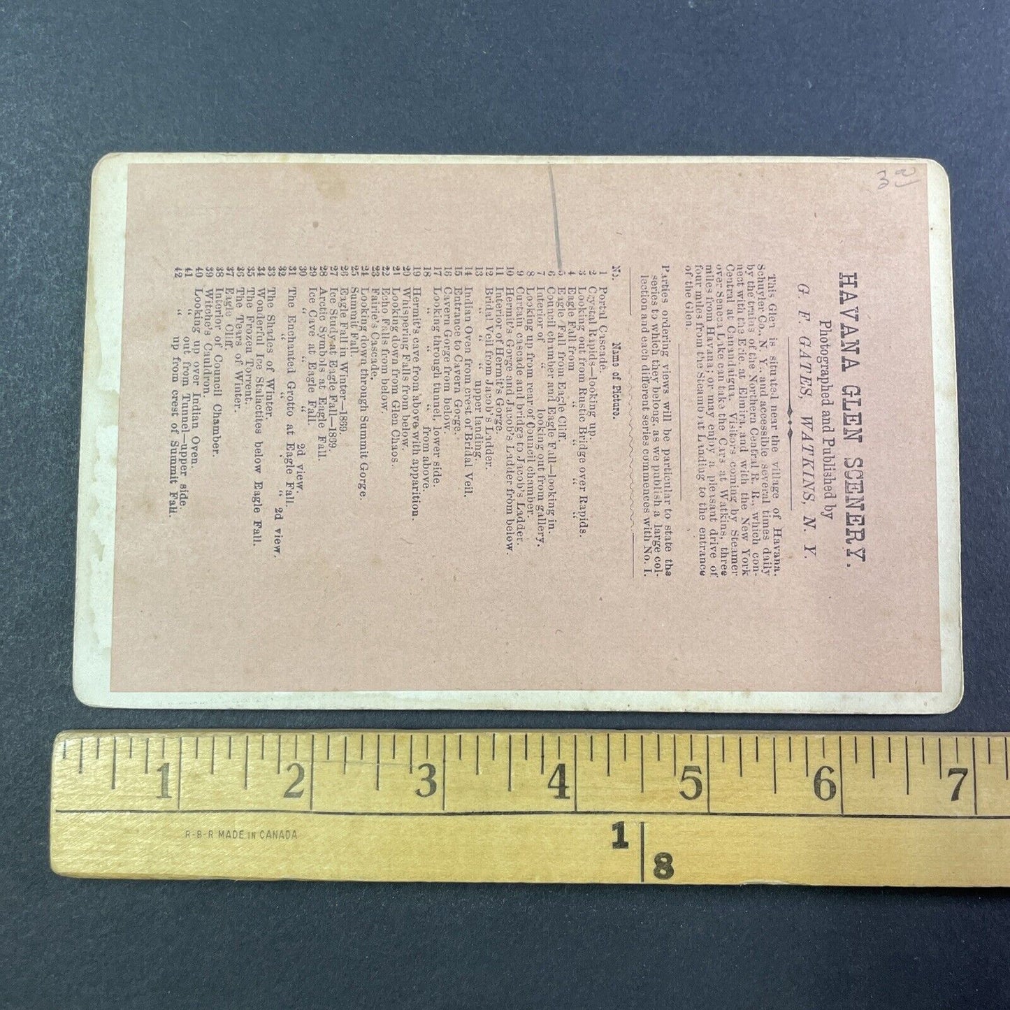 Watkins Glen Eagle Cliff New York Stereoview George F. Gates c1865 Y1825