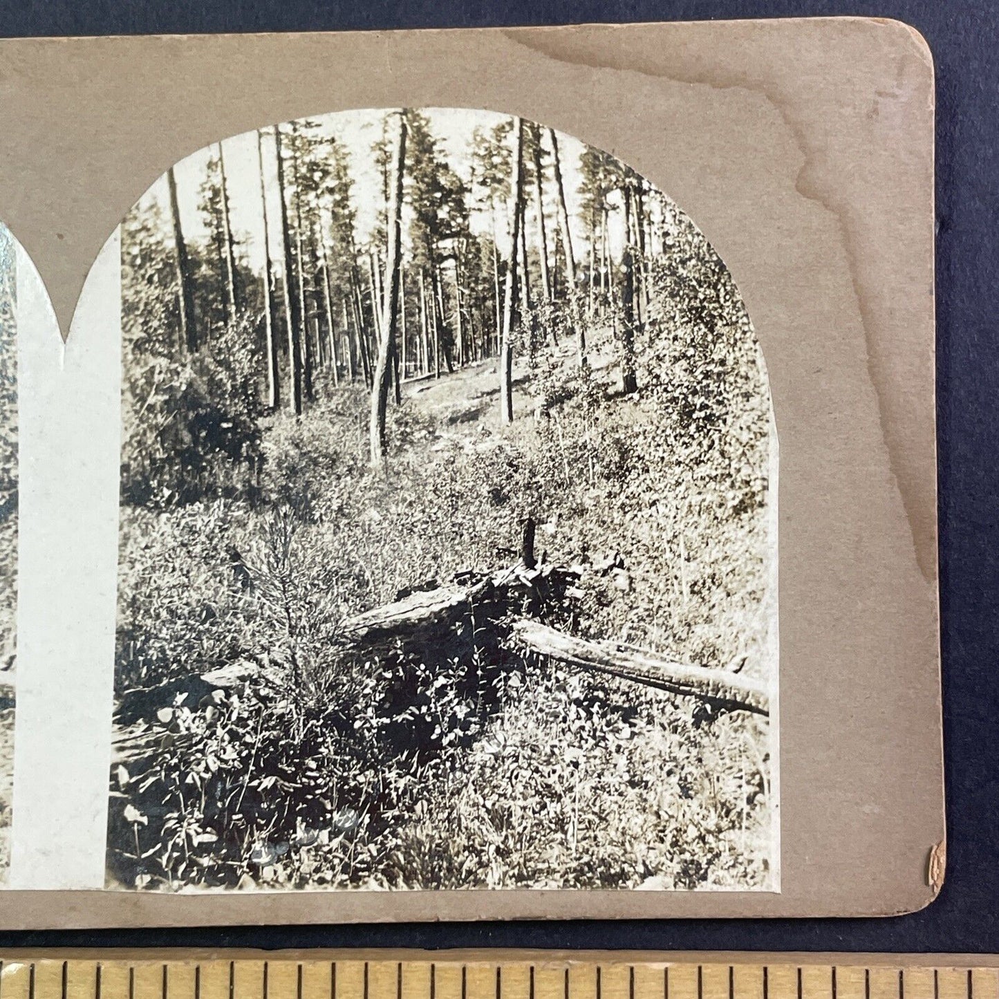 Copper Mountain Colorado Mining Site Mine Stereoview Antique c1870s X3753