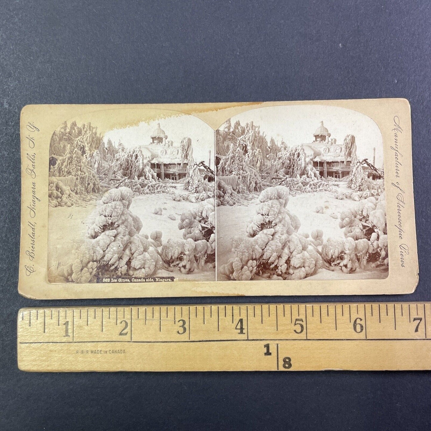 House Covered Severe Ice Storm Stereoview Niagara Falls Ontario c1870s Y1471
