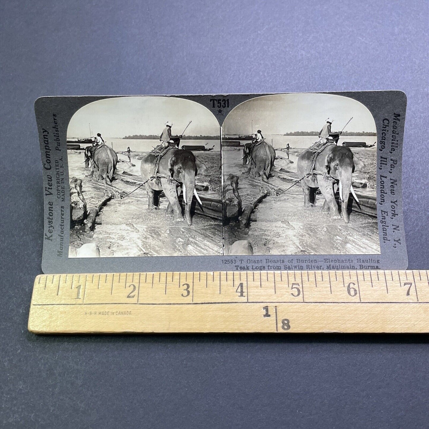 Antique 1909 Men Riding Elephants In Myanmar Stereoview Photo Card V2893