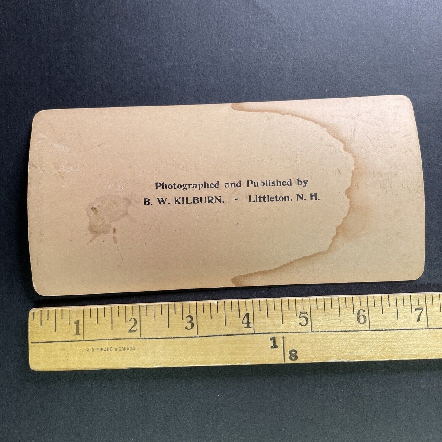 Antique 1898 Banana Plantation In Alexandria Egypt Stereoview Photo Card P1757