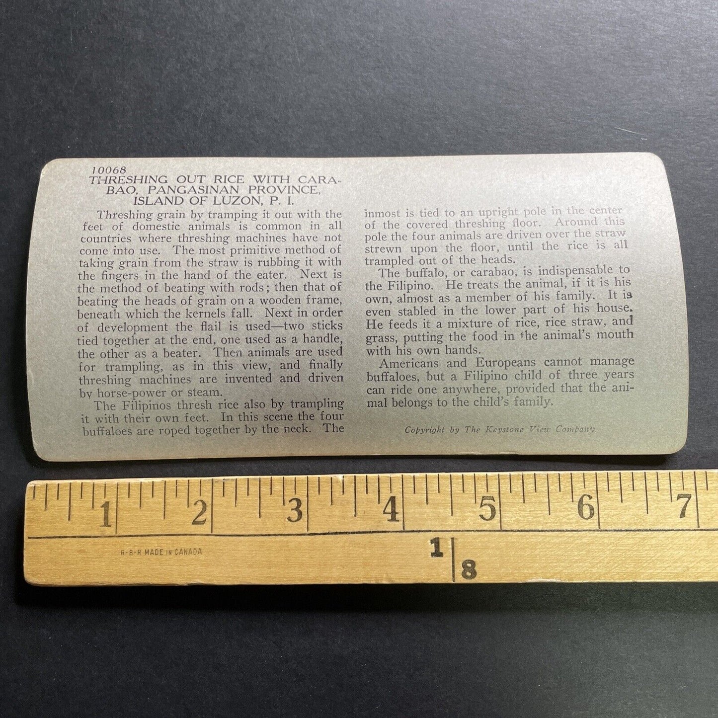 Antique 1906 Rice Farming Pagsanjan Philippines Stereoview Photo Card P1470