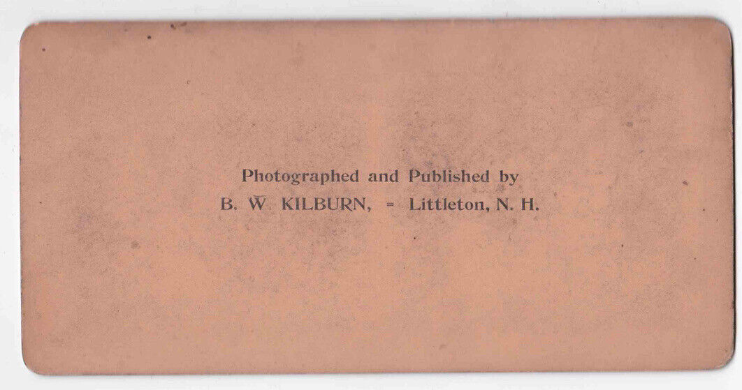 Antique 1898 Harvesting Date Palm Trees Alexandria Egypt Colored Photo Card P072