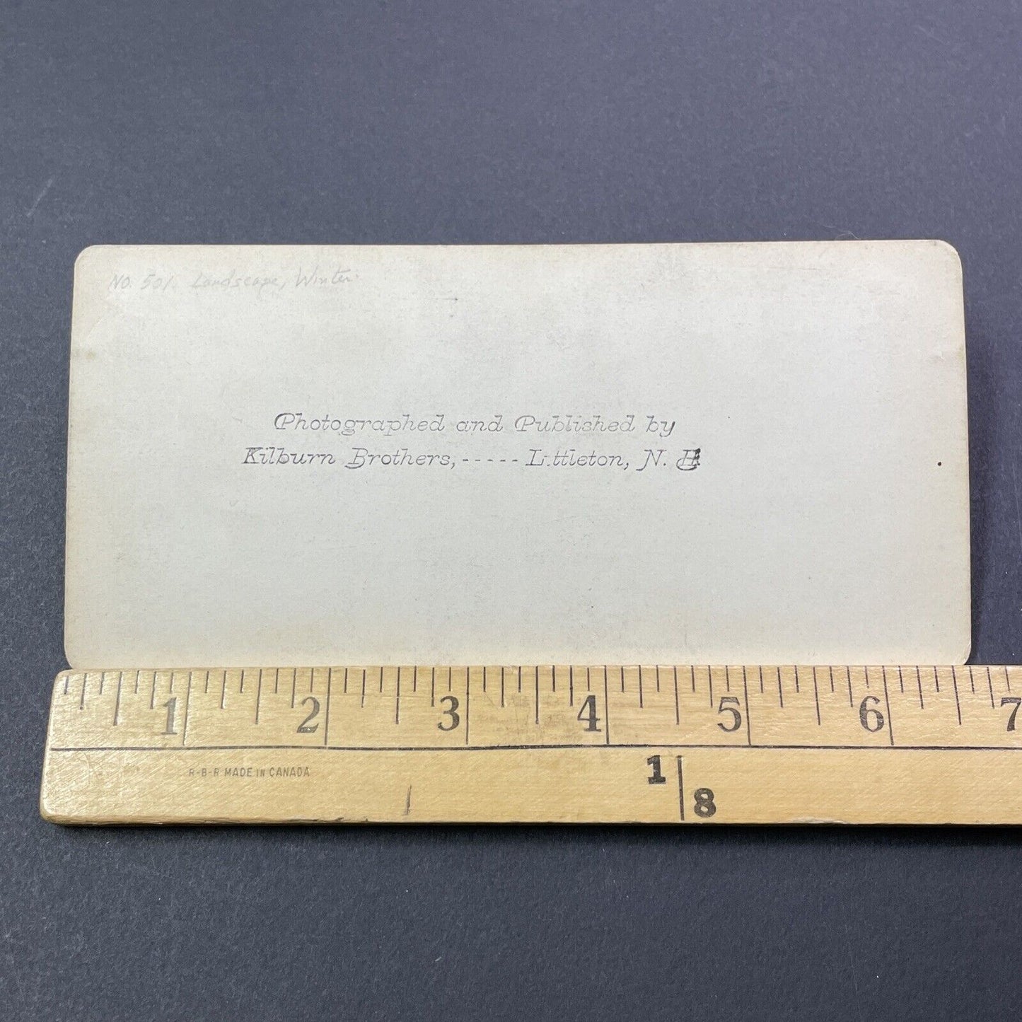 Antique 1874 Great Blizzard Of '74 Near Conway NH Stereoview Photo Card V1767