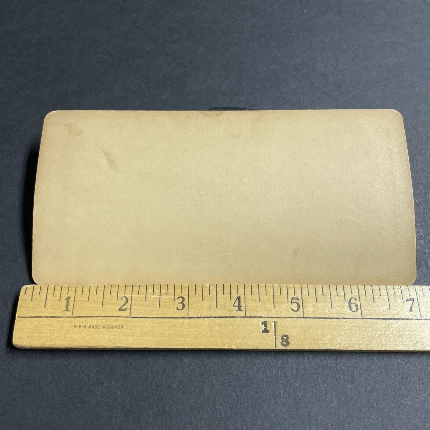 Antique 1892 Woman Beats Maid For Stealing Food Stereoview Photo Card P4651