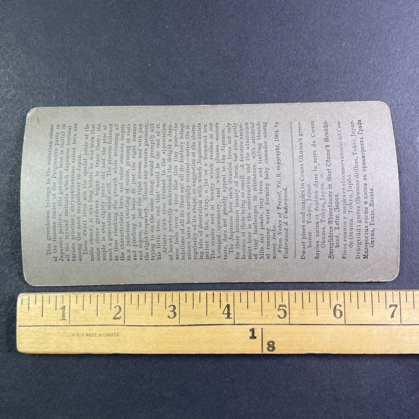 Count Okuma's Bonsai Tree Greenhouse Stereoview Antique c1904 Y2594