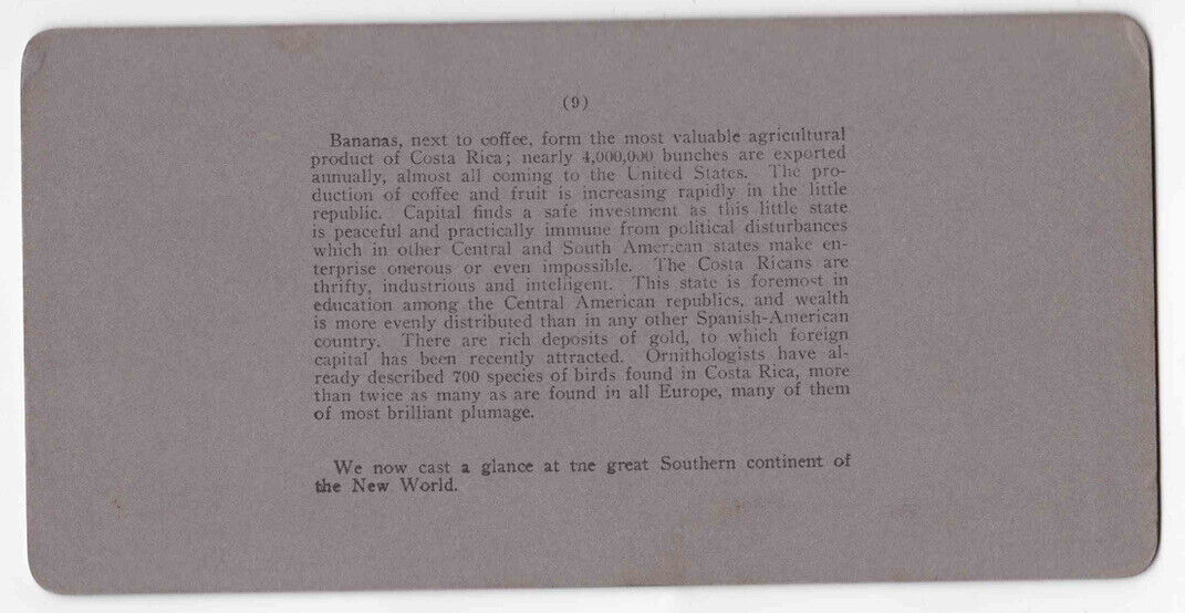 Antique 1902 Afro-Costa Ricans Harvesting Bananas In Costa Rica Photo Card P107