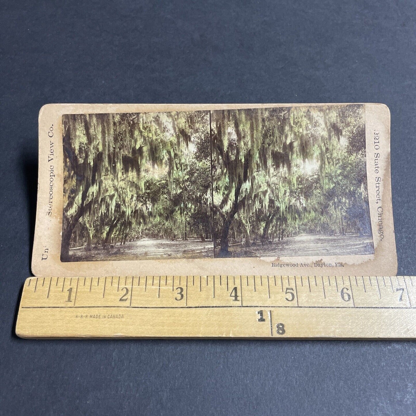 Antique 1880s Daytona Beach Florida N Ridgewood Ave Stereoview Photo Card P4851