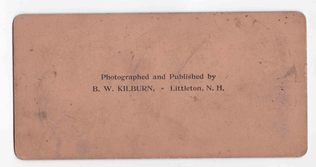 Antique 1884 Obelisk Entrance Sanssouci Park Potsdam Germany Stereo Card P249