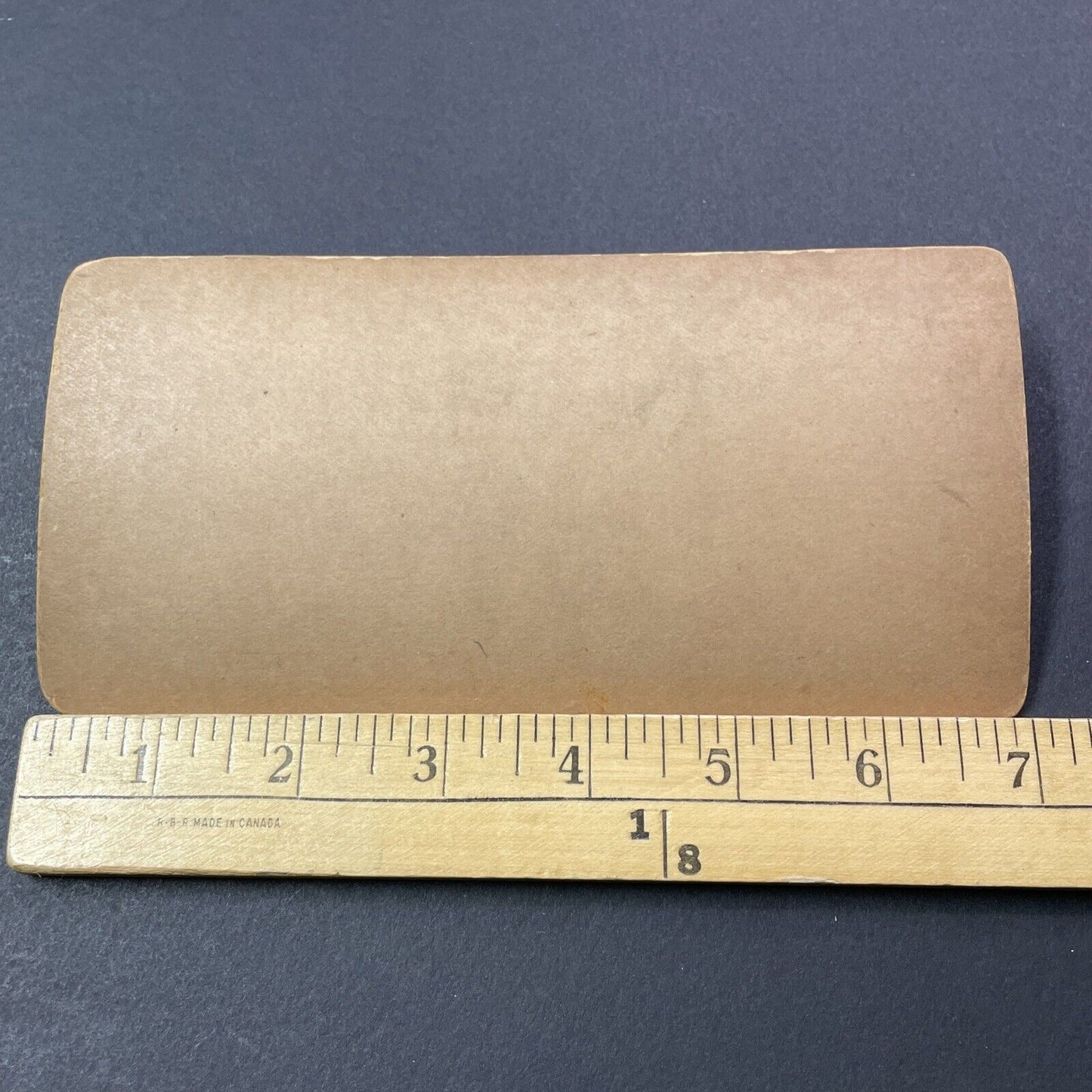 Antique 1890s Floral Clock Lincoln Park Chicago Stereoview Photo Card V3327