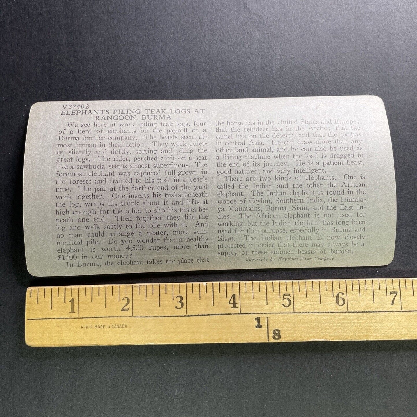 Antique 1918 Elephants In Lumber Yard Yangon Myanmar Stereoview Photo Card P1749