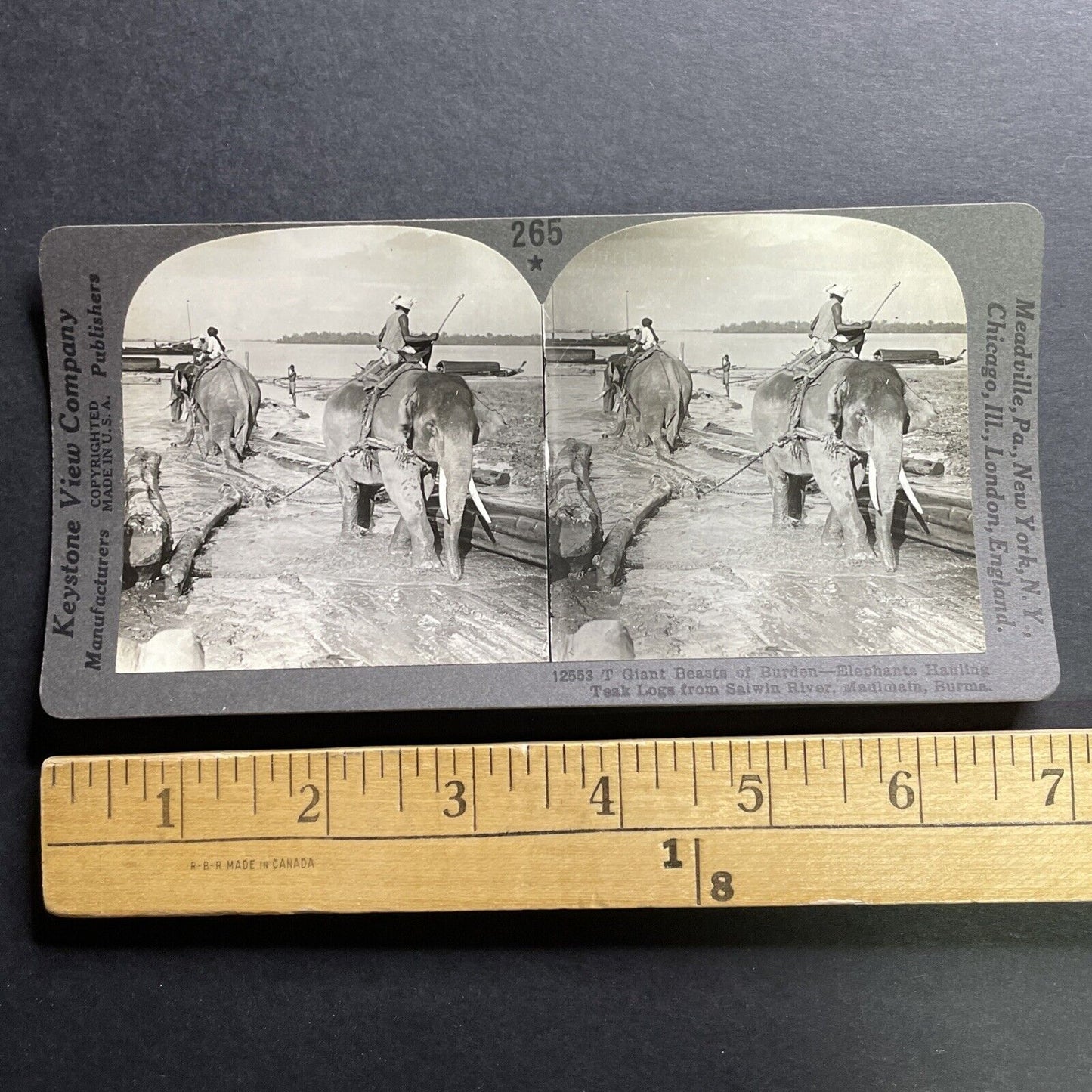 Antique 1918 Elephants Used For Logging Mawlamyine Stereoview Photo Card P1467