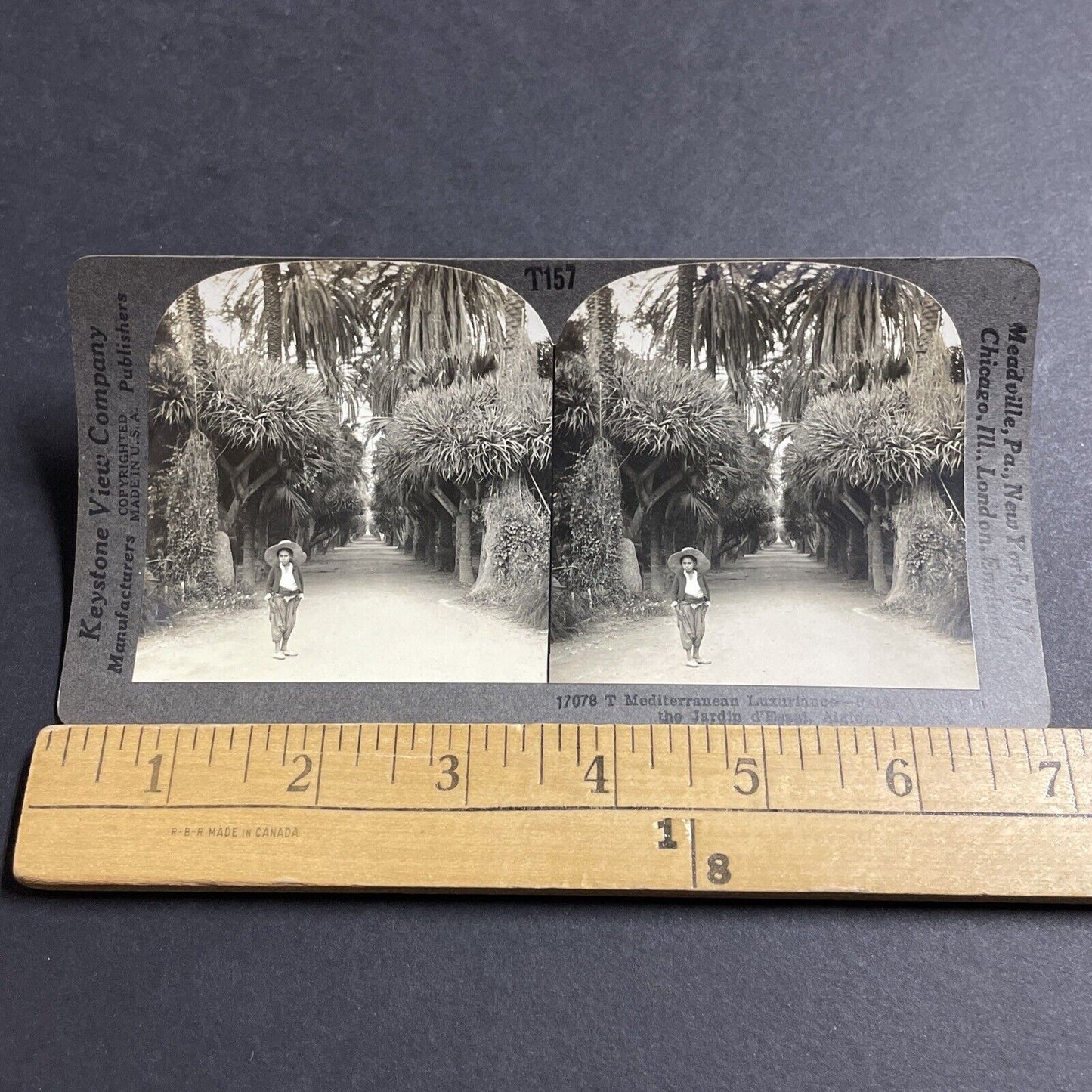 Antique 1920s Algerian Boy In Algiers Algeria Stereoview Photo Card P5104