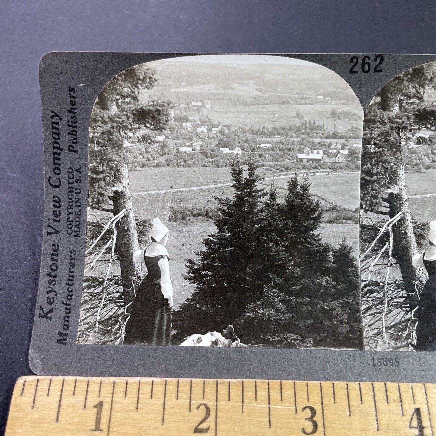 Antique 1910s Acadian Woman In Nova Scotia Stereoview Photo Card P3736