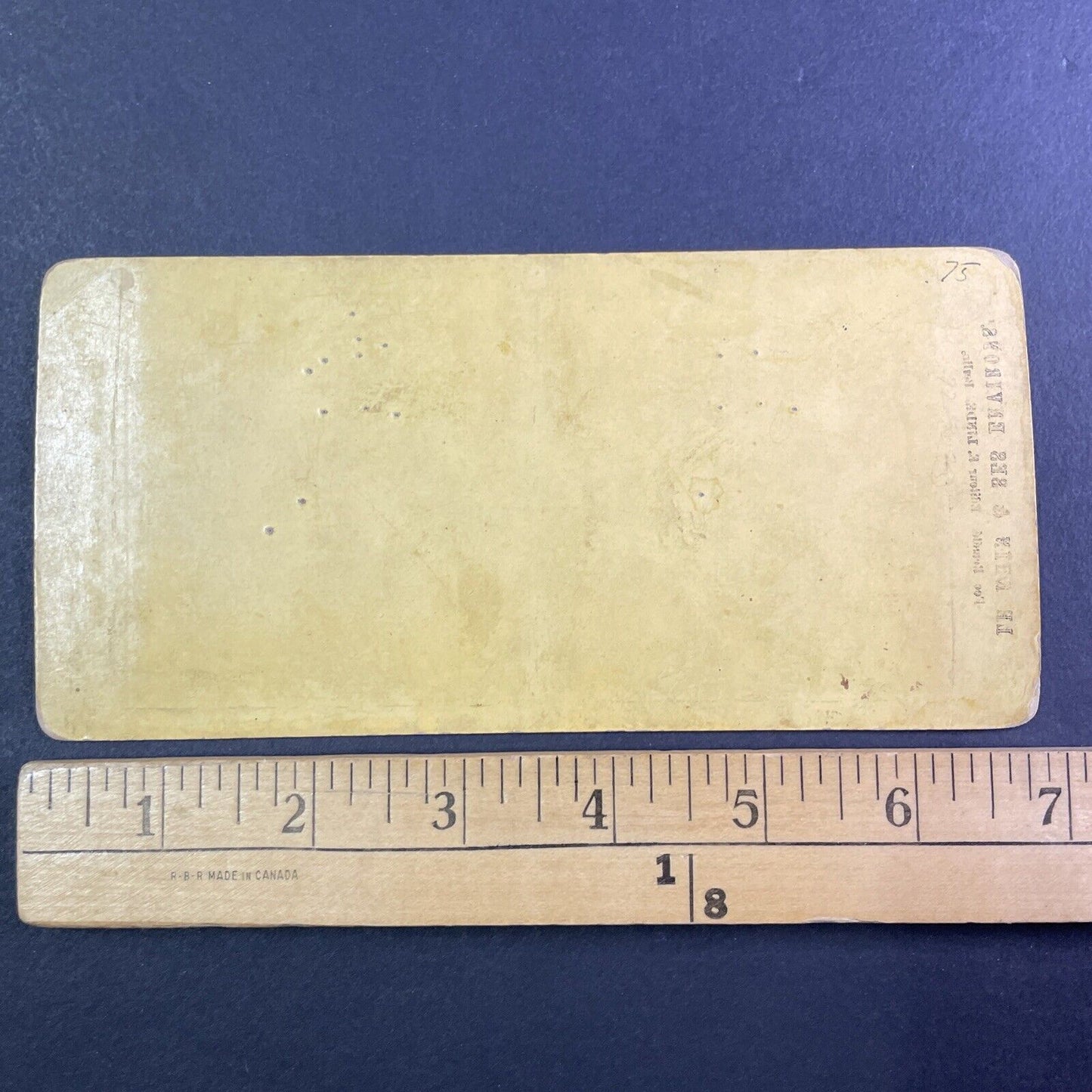 Mosque in The Park Garden Stereoview Schwetzingen Germany c1870s Y981