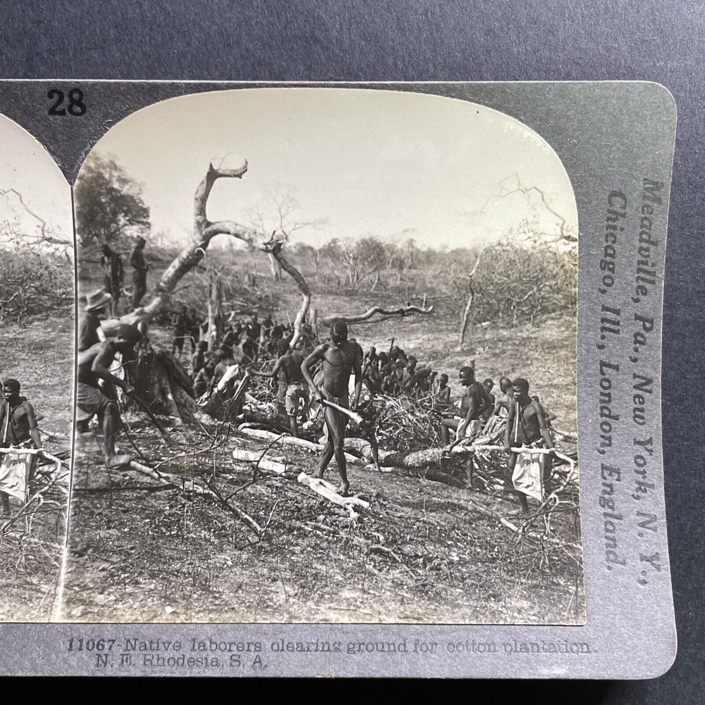 Antique 1919 People In Zimbabwe Clear The Land Stereoview Photo Card P1694