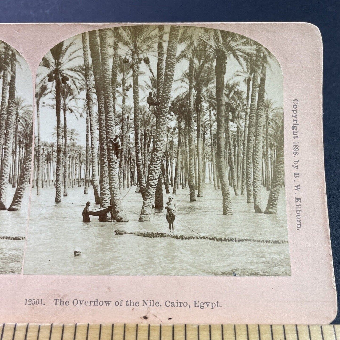 Antique 1898 The Great Nile Flood Of '98 Egypt Stereoview Photo Card P3821